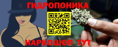 гашик Дубна