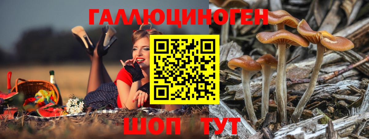 Галлюциногенные грибы Magic Shrooms Электрогорск
